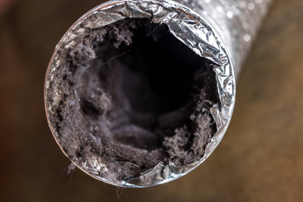 Best Affordable Air Duct Cleaning  in Hughson, CA